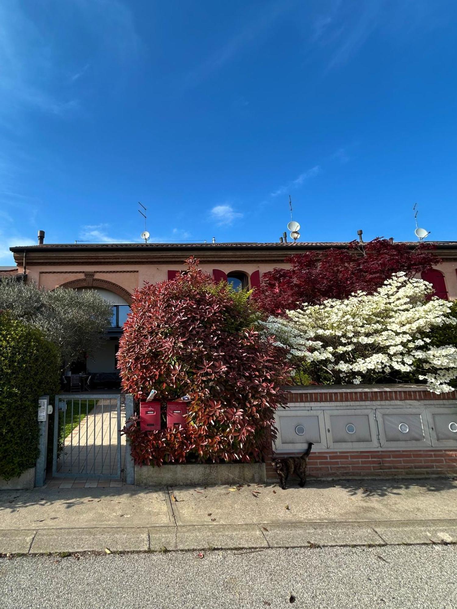Soranza Suite Castelfranco Veneto Eksteriør bilde